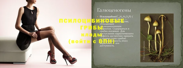 ECSTASY Сосновка