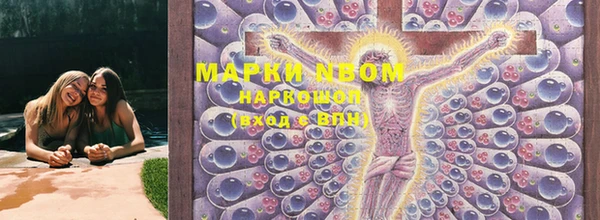 индика Балахна